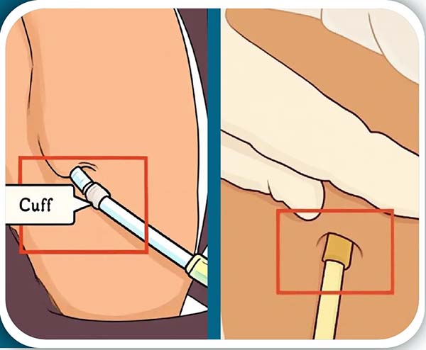 微信(xin)圖片_20250909140648.jpg 微信(xin)圖片_20250909140648.jpg