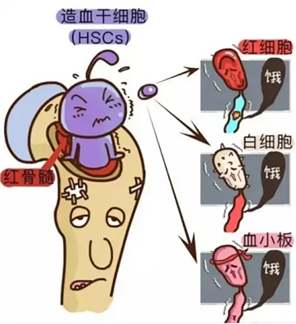 DM_20260113103131_001.jpg DM_20260113103131_001.jpg