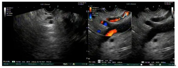 微信(xin)截圖_20240417142405.jpg 微信(xin)截圖_20240417142405.jpg