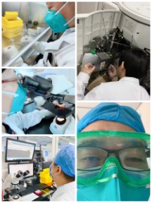 C:\Users\ADMINI~1\AppData\Local\Temp\WeChat Files\408944286886637242.jpg C:\Users\ADMINI~1\AppData\Local\Temp\WeChat Files\408944286886637242.jpg